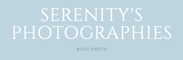 Capture d’écran 2016-04-23 à 13.50.47