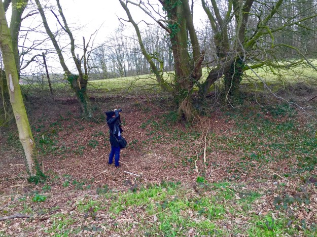 FullSizeRender - copie